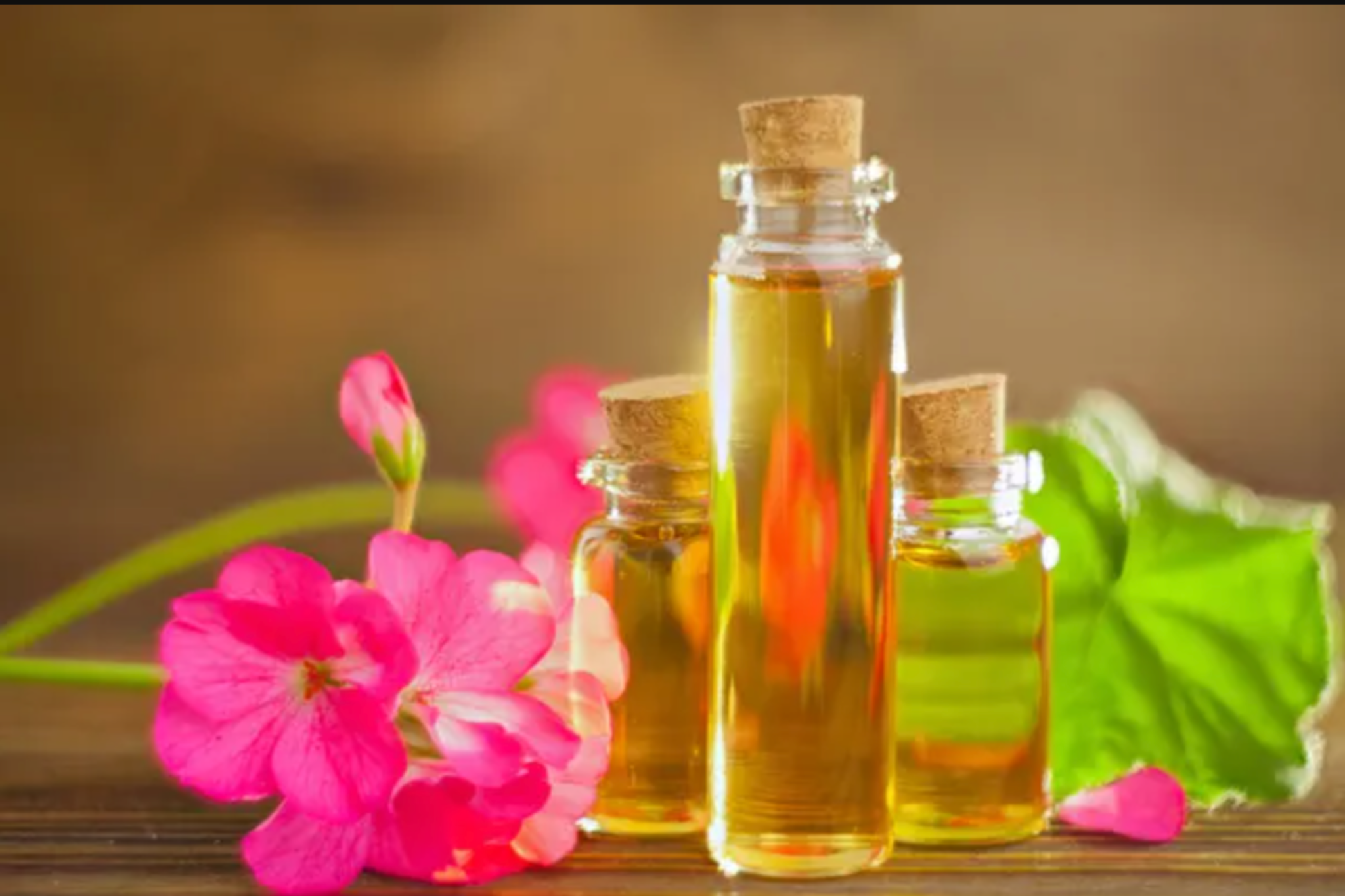Sardunya (Geranium) Yağı: Kadın Hormonlarının Dengeleyicisi